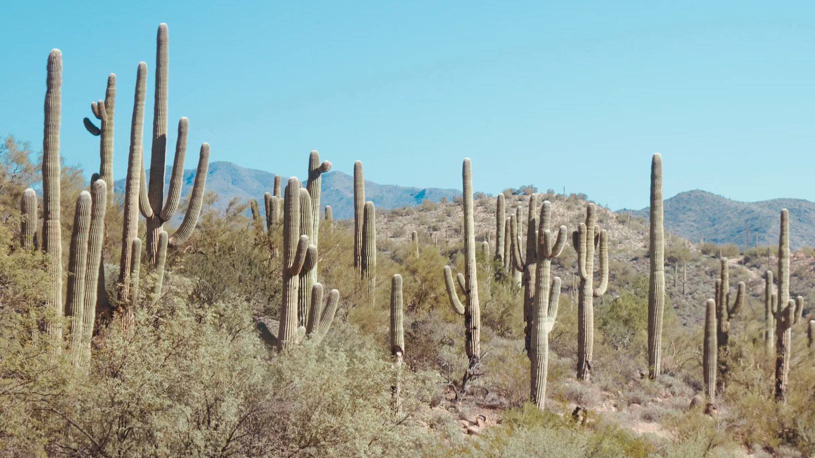 Arizona Well Water Quality: Arsenic, PFAS, Uranium, and Why Arizona Has Some of the Most Contaminated Private Wells in the US